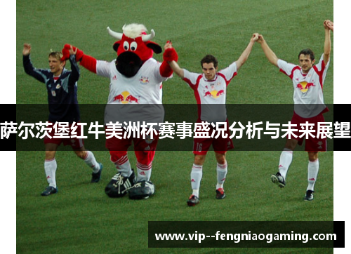 萨尔茨堡红牛美洲杯赛事盛况分析与未来展望