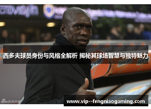 西多夫球员身份与风格全解析 揭秘其球场智慧与独特魅力