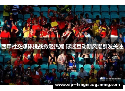 西甲社交媒体挑战掀起热潮 球迷互动新风潮引发关注 西甲社交媒体挑战掀起热潮 球迷互动新风潮引发关注