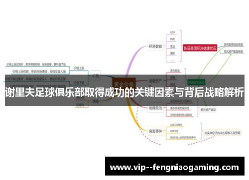 谢里夫足球俱乐部取得成功的关键因素与背后战略解析