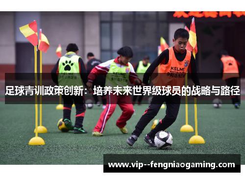 足球青训政策创新：培养未来世界级球员的战略与路径