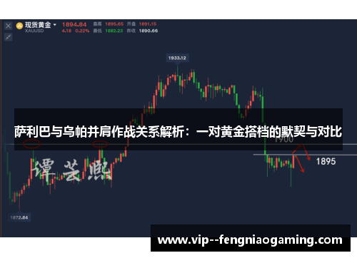 萨利巴与乌帕并肩作战关系解析：一对黄金搭档的默契与对比