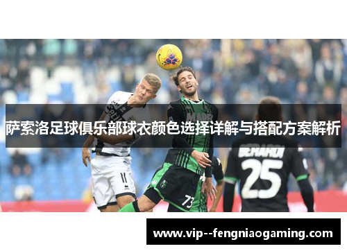 萨索洛足球俱乐部球衣颜色选择详解与搭配方案解析