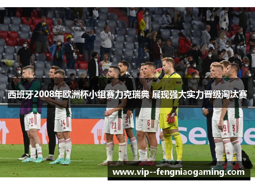 西班牙2008年欧洲杯小组赛力克瑞典 展现强大实力晋级淘汰赛