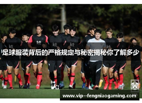 足球服装背后的严格规定与秘密揭秘你了解多少