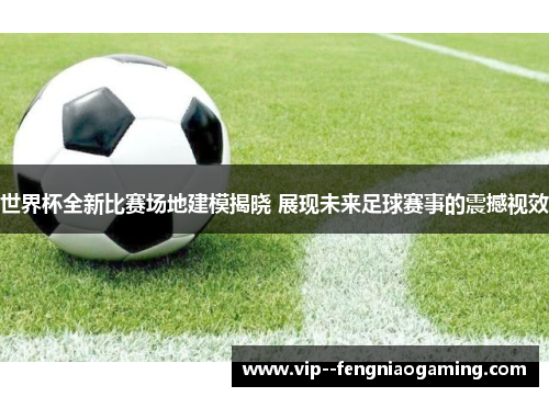 世界杯全新比赛场地建模揭晓 展现未来足球赛事的震撼视效