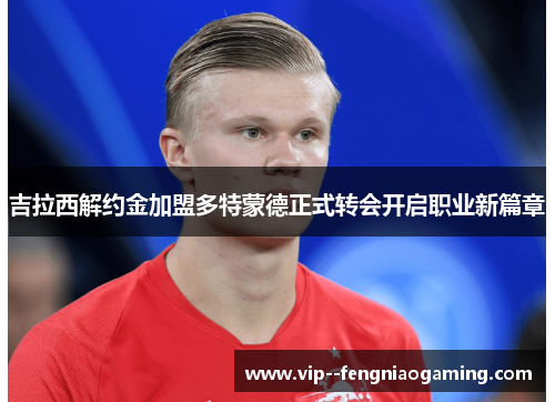 吉拉西解约金加盟多特蒙德正式转会开启职业新篇章