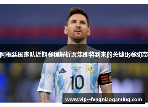 阿根廷国家队近期赛程解析聚焦即将到来的关键比赛动态