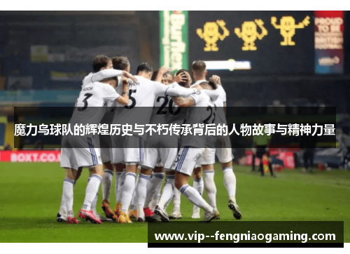 魔力鸟球队的辉煌历史与不朽传承背后的人物故事与精神力量