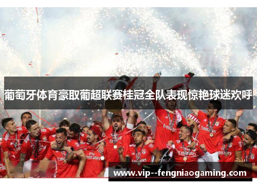 葡萄牙体育豪取葡超联赛桂冠全队表现惊艳球迷欢呼 葡萄牙体育豪取葡超联赛桂冠全队表现惊艳球迷欢呼