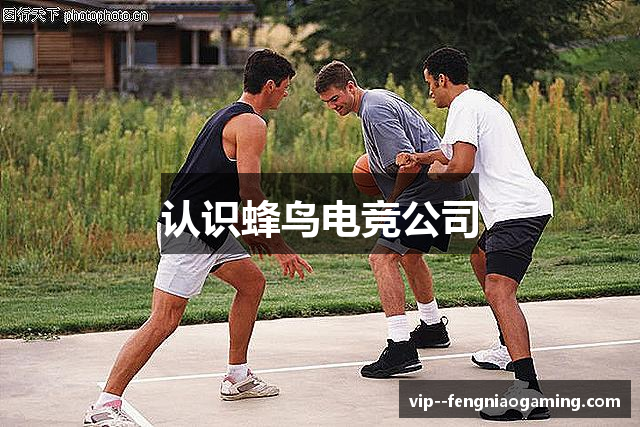 认识蜂鸟电竞公司